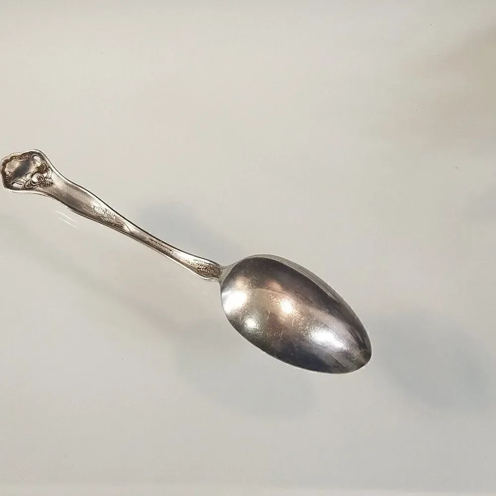 Dolly Madison 1911 Pattern Serving Spoon Silver Inlaid by Holmes & Edwards